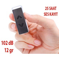 Mini Ses Kayıt Cihazı