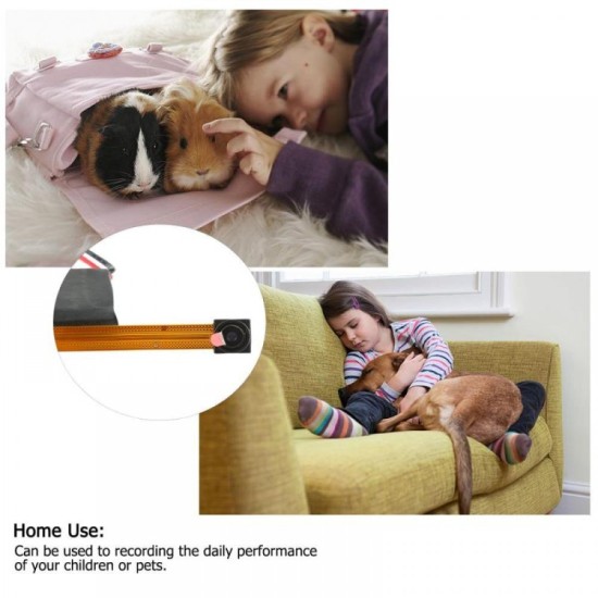 Module Güvenli Kamera