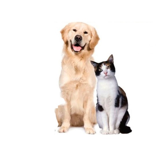 Kedi - Köpek - Evcil Hayvan Takip Cihazı