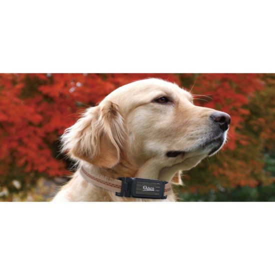 Kedi - Köpek - Evcil Hayvan Takip Cihazı